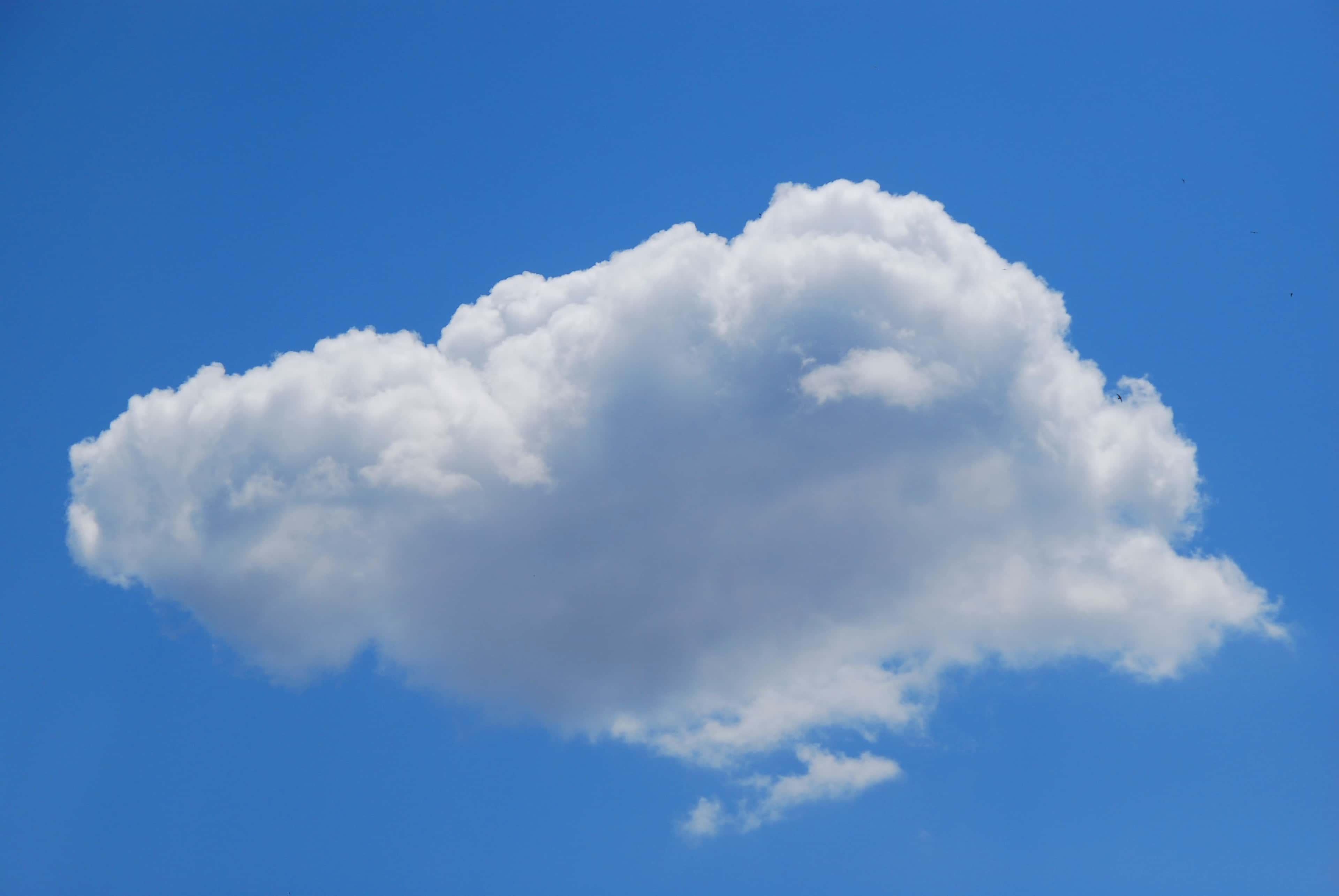 SaaS und Managed Services image
